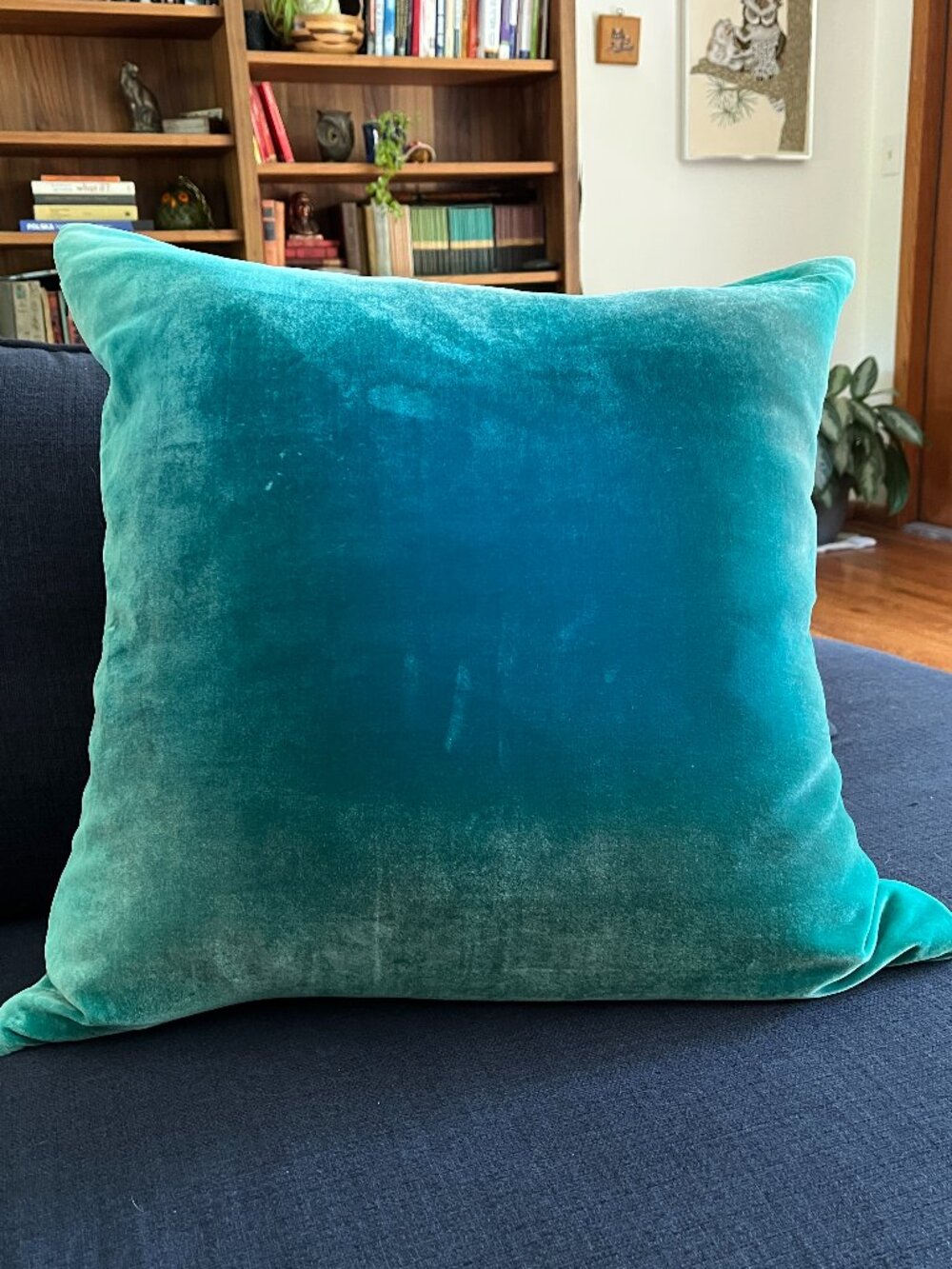 Ombre Velvet Throw Pillow By Kevin O'Brien Studio